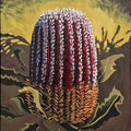 Banksia Menziesii