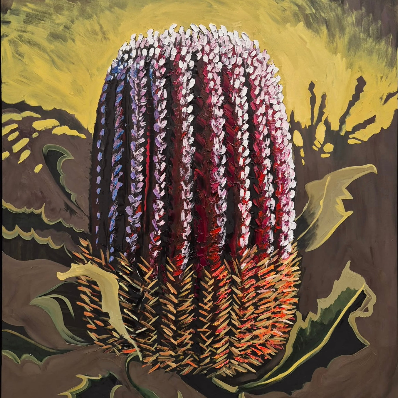 Banksia Menziesii