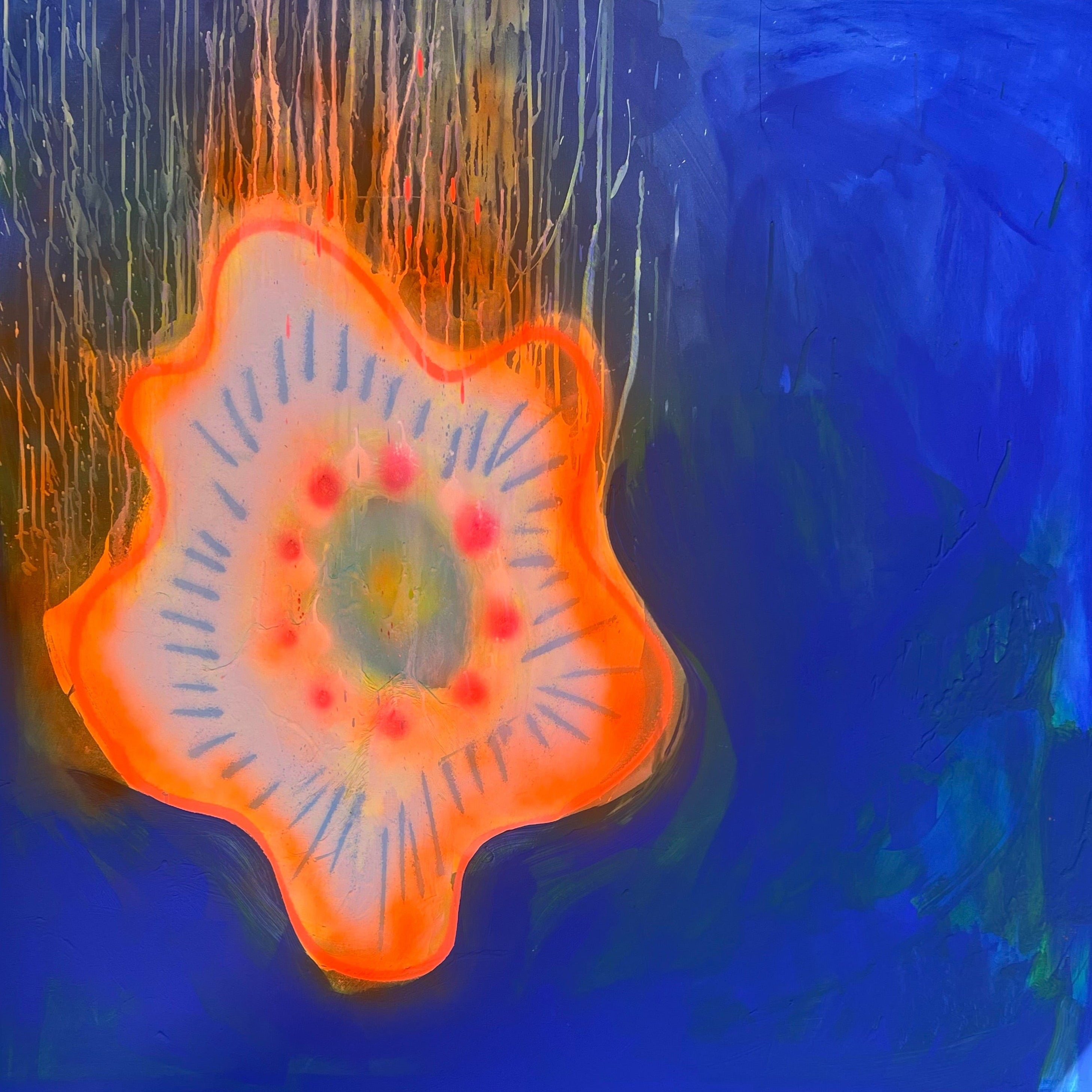 Echinopsis tubiflora V