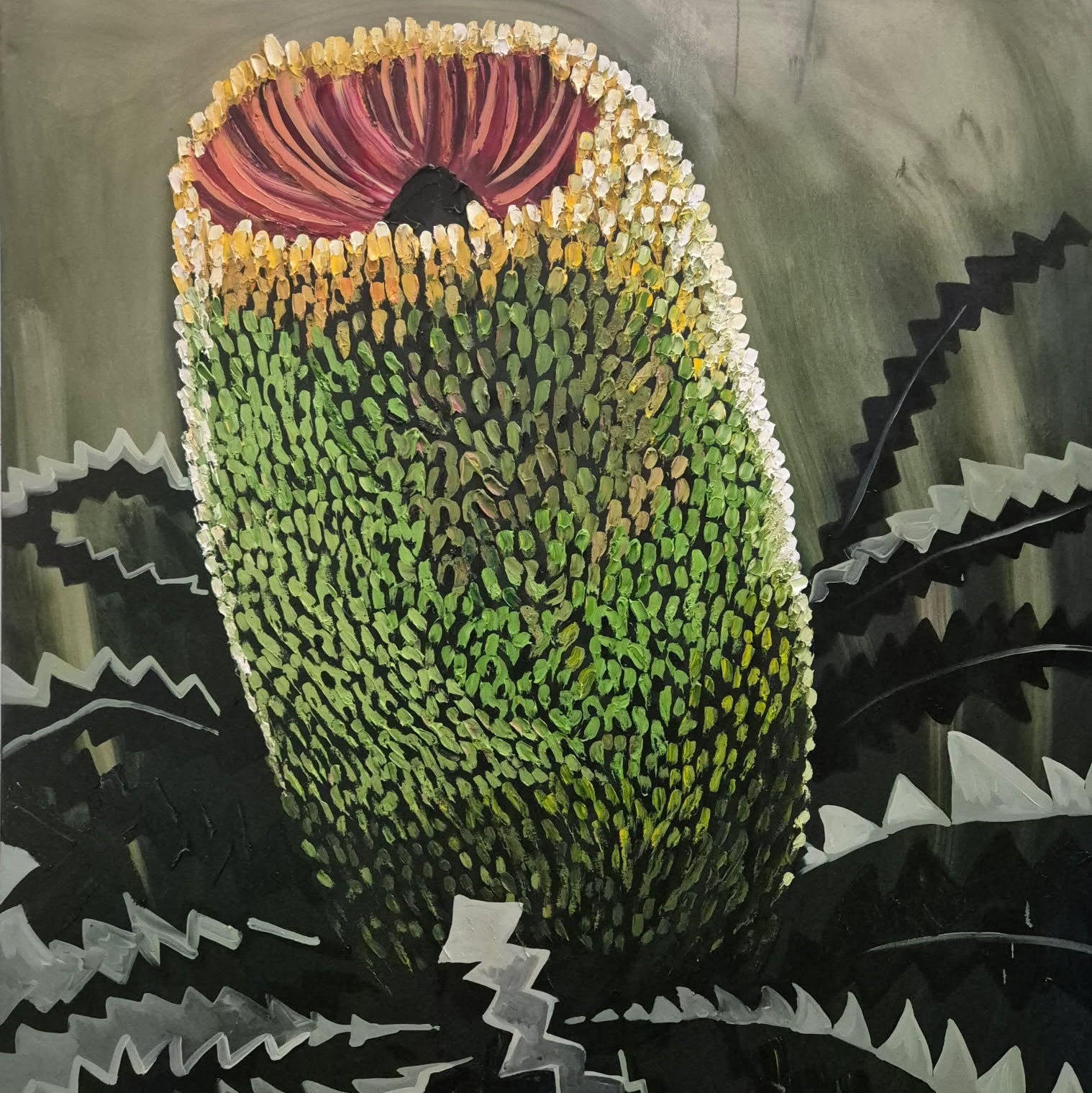 Old Man Banksia