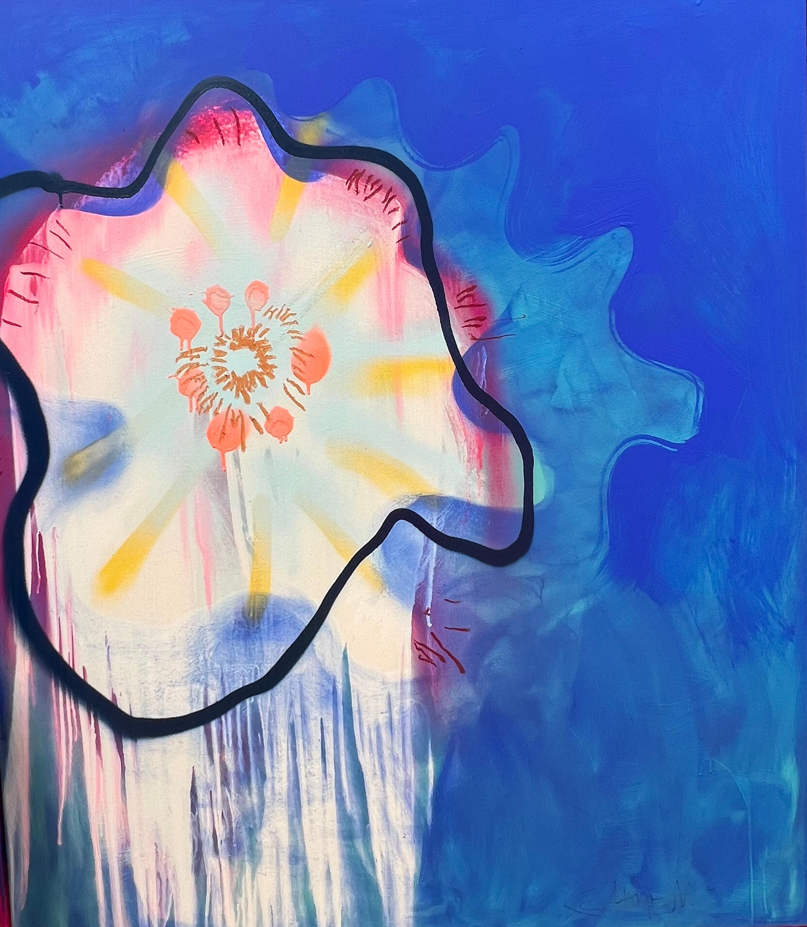 Echinopsis tubiflora VI