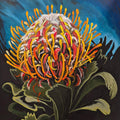 Golden Waratah