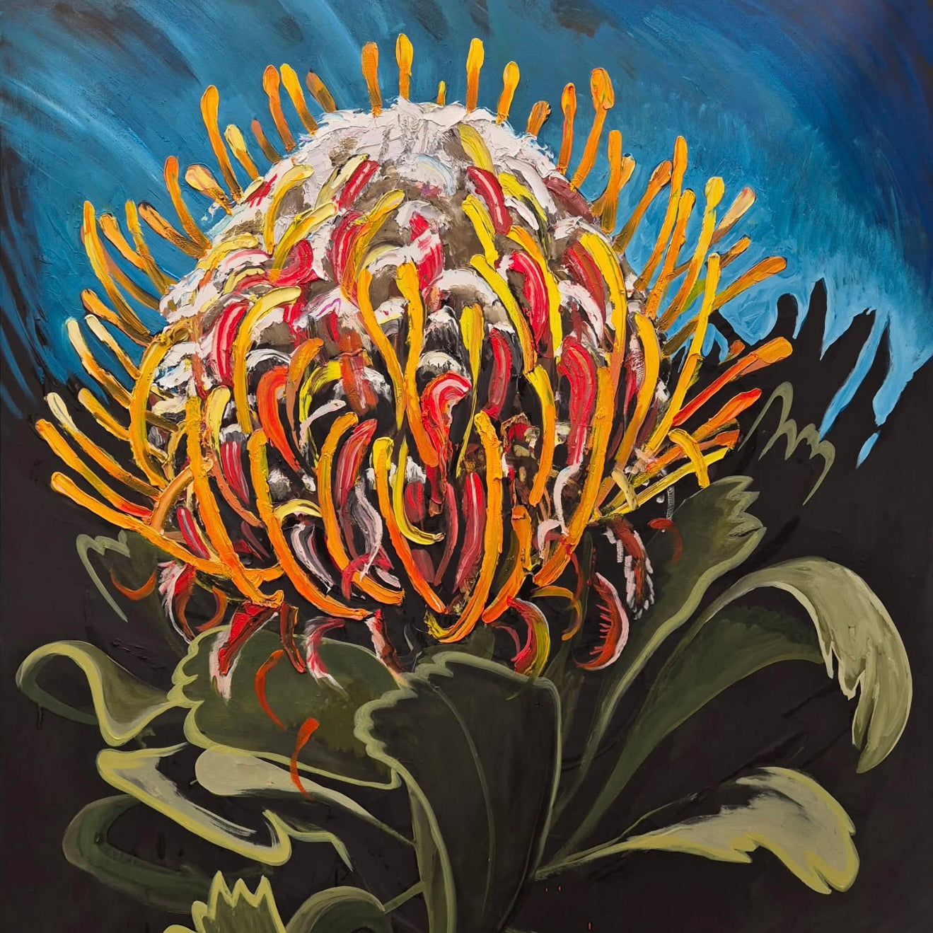 Golden Waratah