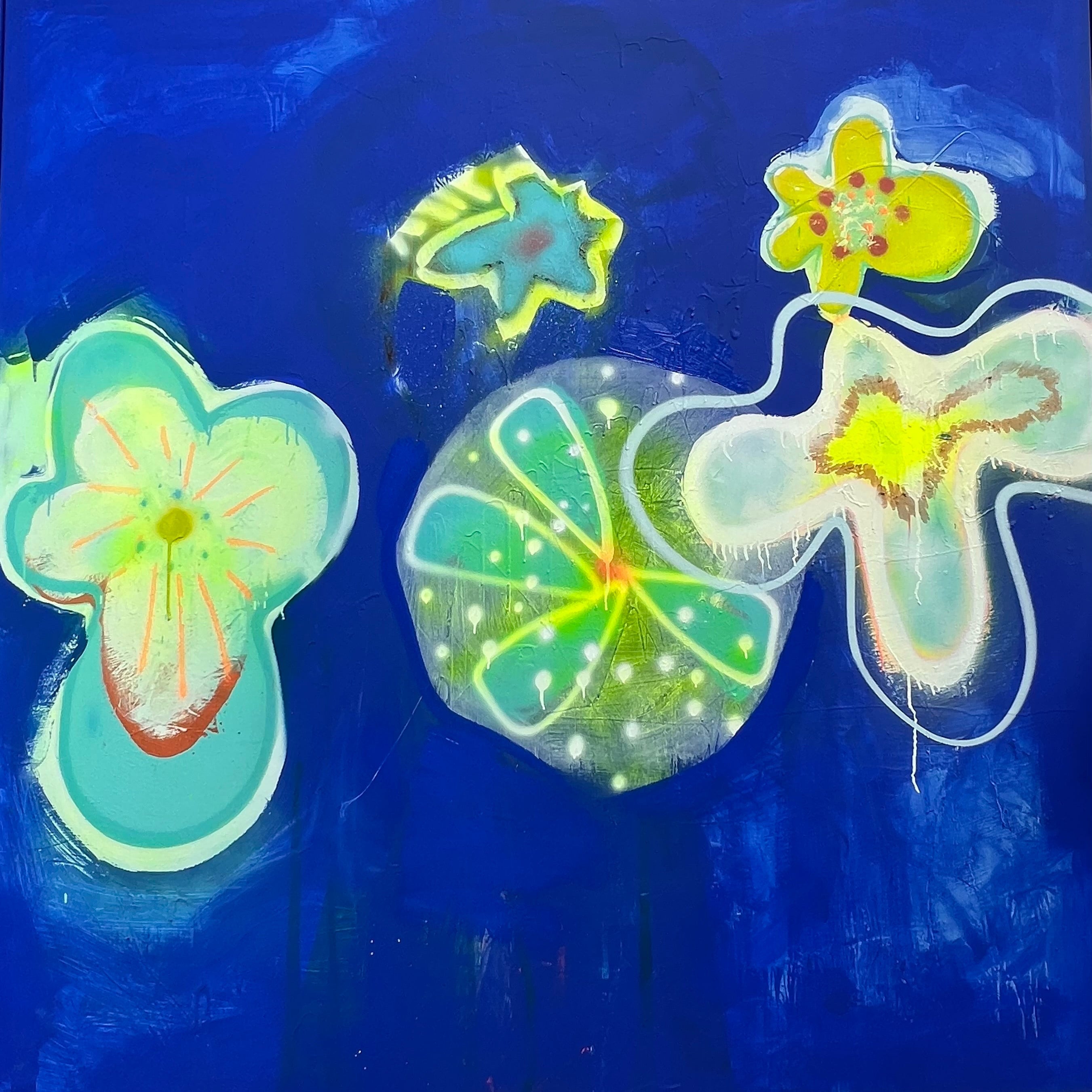 Echinopsis tubiflora IV